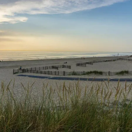 La D'arthur * 卡米尔斯