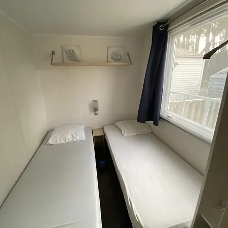 La D'arthur * 卡米尔斯